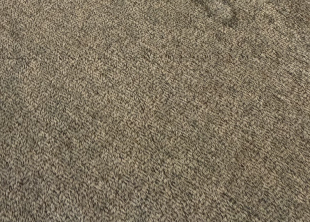 Before — Before and after commercial carpet cleaning in a library — matted traffic aisles lifted to freshly groomed carpet