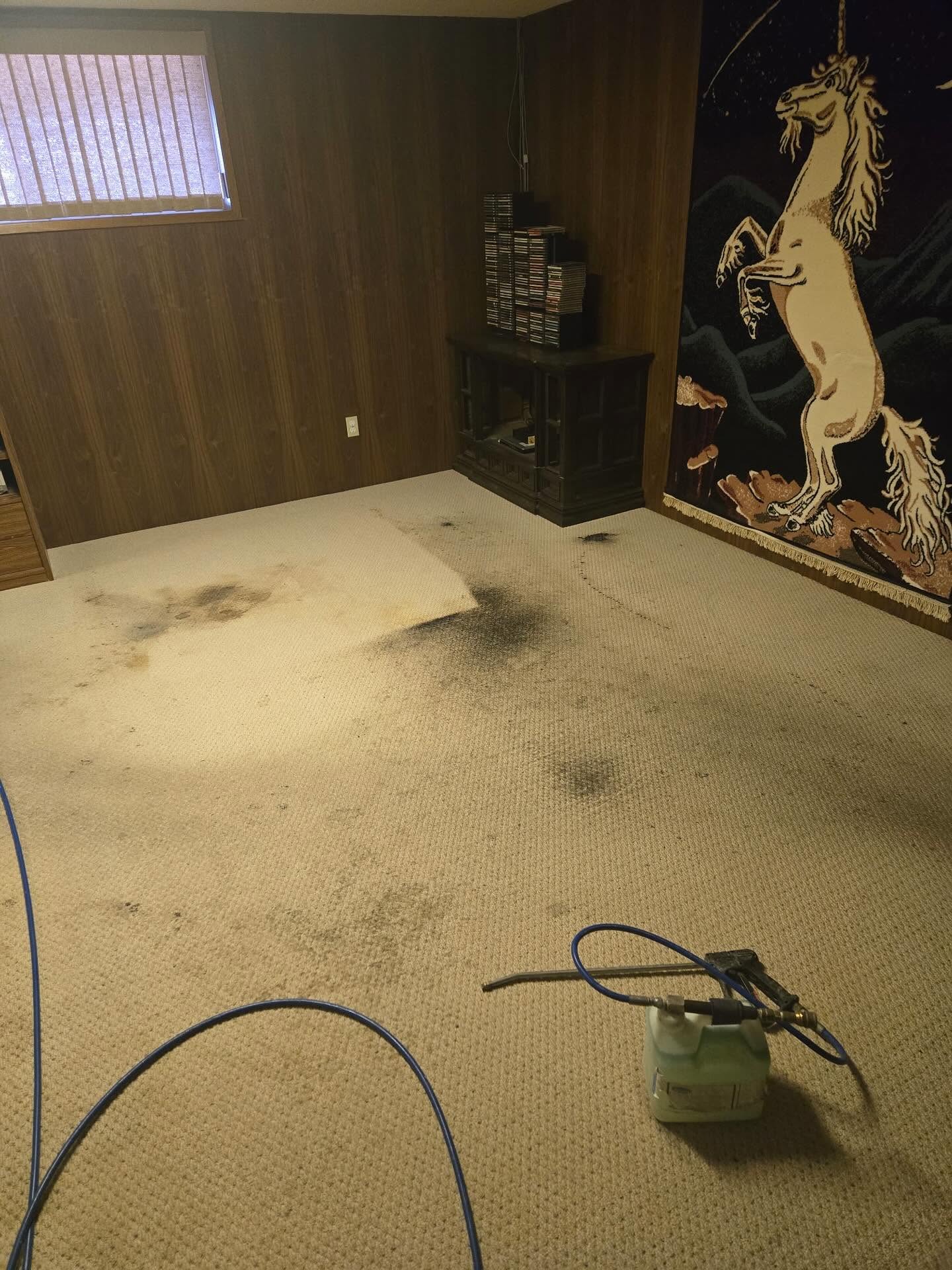 Before — Before and after carpet cleaning in a wood-panelled family room — heavy soiling and stubborn stains lifted to a clean, even pile
