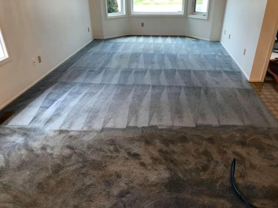 After — Before and after carpet cleaning in a Kelowna home — heavy traffic soiling lifted from the living room carpet