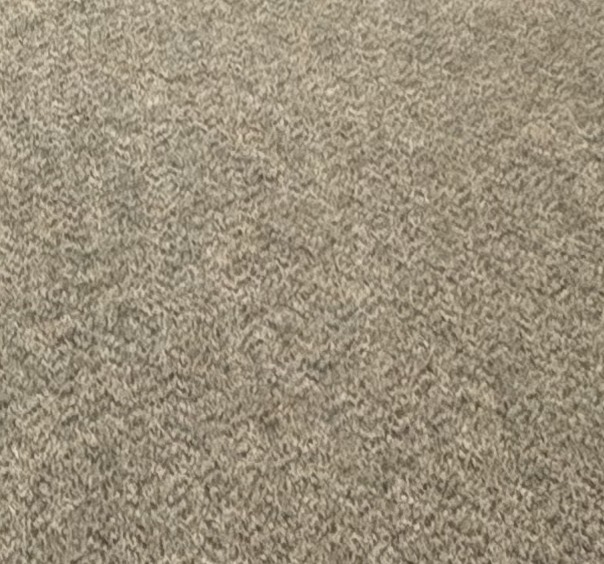 After — Before and after commercial carpet cleaning in a library — matted traffic aisles lifted to freshly groomed carpet