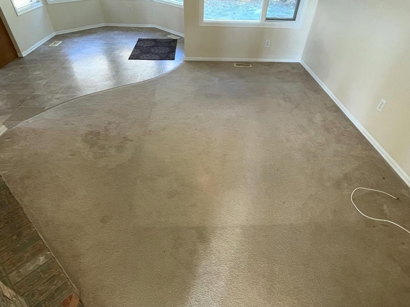 Before — Before and after carpet stain removal in an Okanagan living room — blotchy soiling lifted to a clean, groomed pile