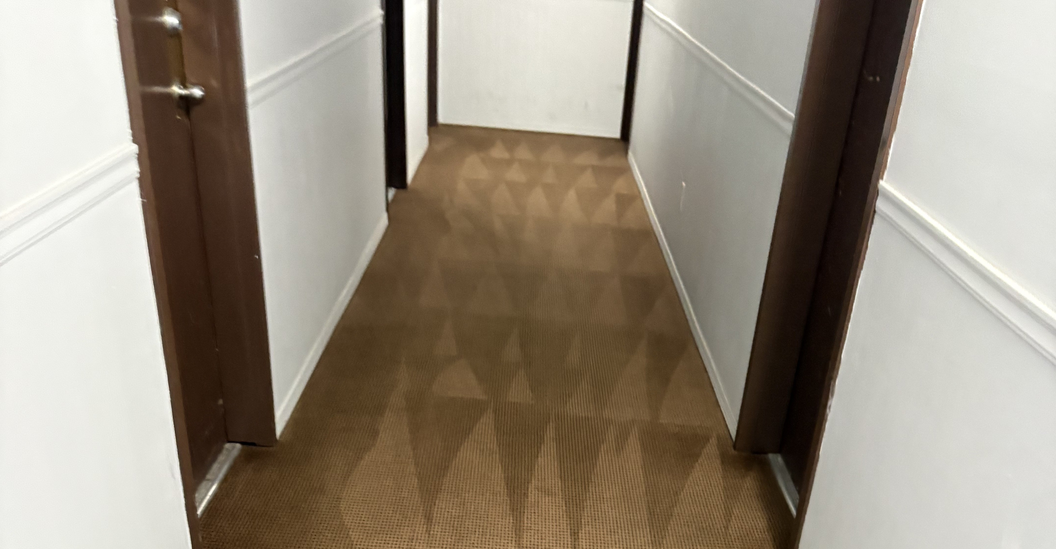 After — Before and after commercial carpet cleaning on an office hallway floor — the far end came up freshly groomed in a single pass